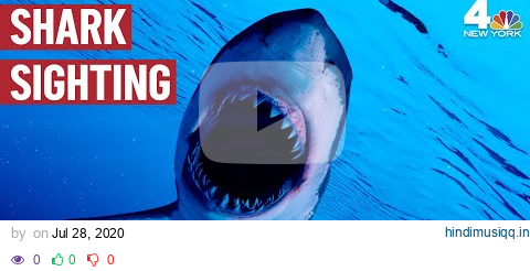 Swimming Banned at 2 Beaches After Shark Sightings, Chomped-On Skate Washes Ashore | NBC New York pagalworld mp3 song download