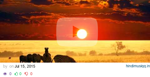 African Music | African Savannah | Relax, Study & Ambience pagalworld mp3 song download