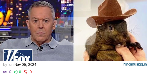 Gutfeld Did this little squirrel just red pill America? pagalworld mp3 song download