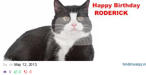 Roderick  Cats Gatos - Happy Birthday pagalworld mp3 song download