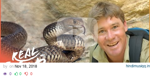 Steve Irwin Meets The World's Most Venomous Snakes | Real Wild pagalworld mp3 song download