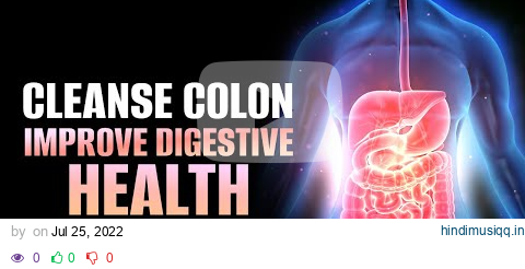 Cleanse Colon Inside Out | Boost Your Gut Bacteria | Improve Overall Digestive Health | 741 Hz Detox pagalworld mp3 song download