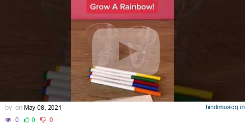 Grow A Rainbow! | STEM For Kids | Science Experiment | #shorts pagalworld mp3 song download