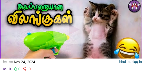 கோளாறான விலங்குகளின் சம்பவங்கள்  | Funny Animals | Pt.12 | TMF 2.0 pagalworld mp3 song download