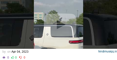 See what’s on the Rivian. Did the bird chirp, while locking,  attract this?? #rivian #rivianr1s pagalworld mp3 song download