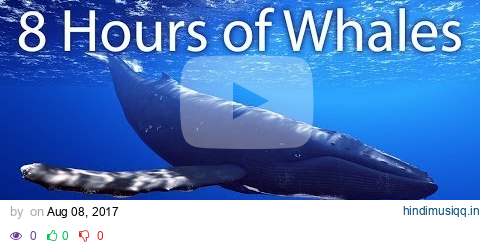 8 Hours of Whale Sounds Deep Underwater for Sleep and Relaxation pagalworld mp3 song download