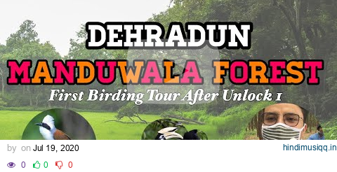 BIRDING AT MANDUWALA FOREST ☘️ | DEHRADUN | pagalworld mp3 song download