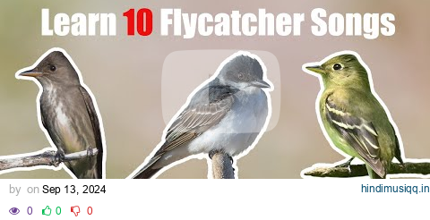 Learn 10 Common Flycatcher Songs and Calls (Eastern North America) pagalworld mp3 song download