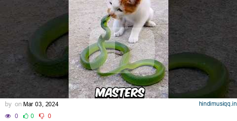 This is Why Snakes Lose To Cats Every Fight, UNTIL..😱 pagalworld mp3 song download