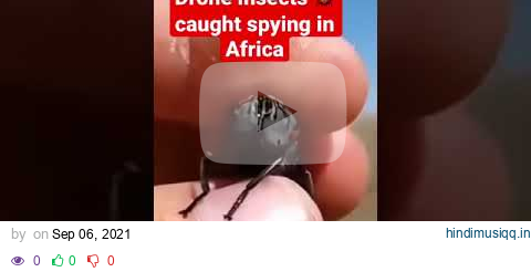 Drone insects caught spying in Africa. Is it true?#shorts pagalworld mp3 song download