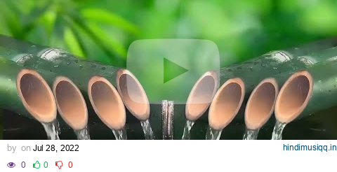 Relaxing music and sound of bamboo water helps to stabilize the mind, restore health, Stress Relief pagalworld mp3 song download