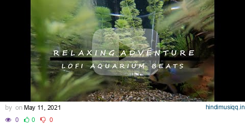 Best Lofi Aquarium Beats For Relax/Study/Work? (1 Hour Lofi Hip Hop mix) pagalworld mp3 song download