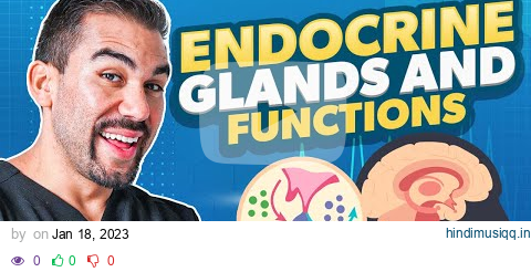 Endocrine Glands & Functions | Parathyroidism Nursing | Made Easy NCLEX pagalworld mp3 song download