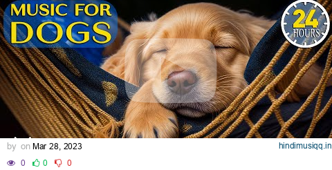 24 Hours of Calming Music for Dogs with Anxiety Soothing Lullabies for Anxious and Stressed Dogs! pagalworld mp3 song download