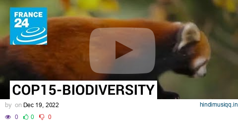 Historic biodiversity agreement reached at UN conference • FRANCE 24 English pagalworld mp3 song download