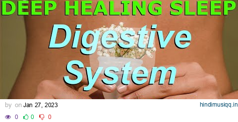 Deep Sleep Healing for Your Digestive System A Hypnosis Journey pagalworld mp3 song download