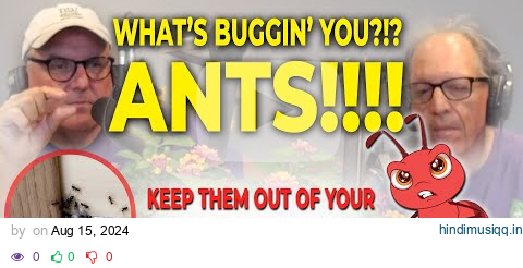 What's Buggin' U?!? | Ants! | Keep Those Marching Ants from Invading Your Home!!! pagalworld mp3 song download