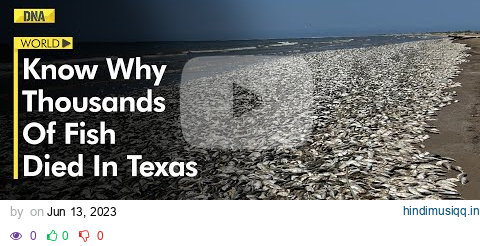 Thousands of dead fish wash up on Texas' Bryan beach, know reason here pagalworld mp3 song download