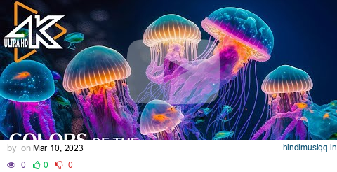 The Ocean 4K - Captivating Moments with Jellyfish and Fish in the Ocean - Relaxation Video #2 pagalworld mp3 song download