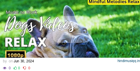 Dog Music - Relaxing Sounds for Dogs with Anxiety! Helped 5 Hours Dogs Worldwide! pagalworld mp3 song download