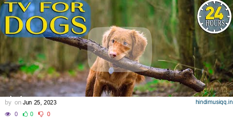 24 Hours of Best Fun & Relaxing TV for Dogs! Prevent Boredom & Anxiety with Music for Dogs! NEW pagalworld mp3 song download