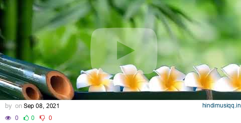 Bamboo Water Fountain | Relaxing Music, Background Music, Meditation Music, Stress Relief #8 pagalworld mp3 song download