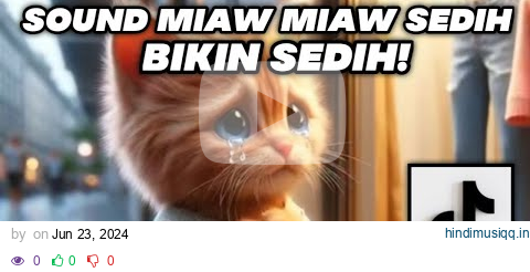 miaw miaw miaw miaw sound sad viral tiktok pagalworld mp3 song download