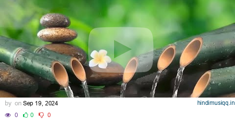 🔴 Relaxing Music 24/7, Stress Relief Music, Meditation, Spa, Sleep, Zen, Calming Music, Study, Yoga pagalworld mp3 song download