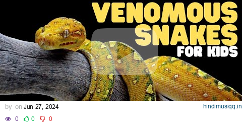 Venomous Snakes for Kids | Learn fun facts about venomous snake species pagalworld mp3 song download