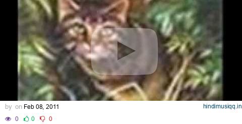 Warrior Cat Theme songs pagalworld mp3 song download