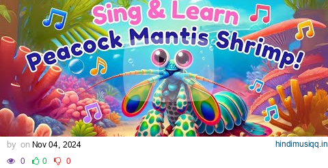 Peacock Mantis Shrimp Boogie! | Dance with Colorful Shrimp | Fun Ocean Song for Kids | Song Safari pagalworld mp3 song download