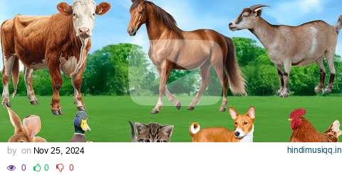 Most Familiar Animals Rabbit, Cow, Cat, Duck, Dog, Chicken - Animal Videos pagalworld mp3 song download