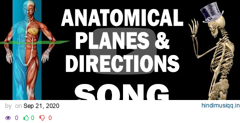 ANATOMICAL PLANES AND DIRECTIONS SONG pagalworld mp3 song download