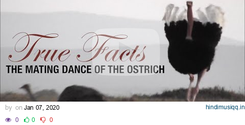 True Facts Mating Dance of the Ostrich pagalworld mp3 song download