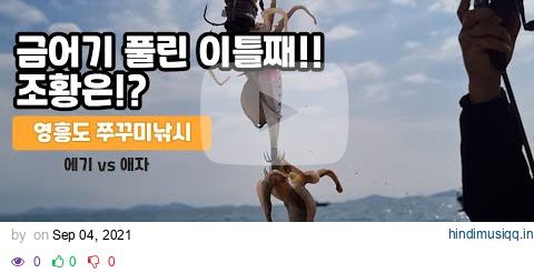 금어기 풀린지 이틀째 되는날! 영흥도 쭈꾸미낚시 조황은!? [제1편] pagalworld mp3 song download