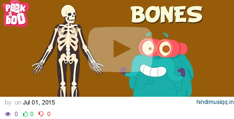 Bones | The Dr. Binocs Show | Learn Videos For Kids pagalworld mp3 song download